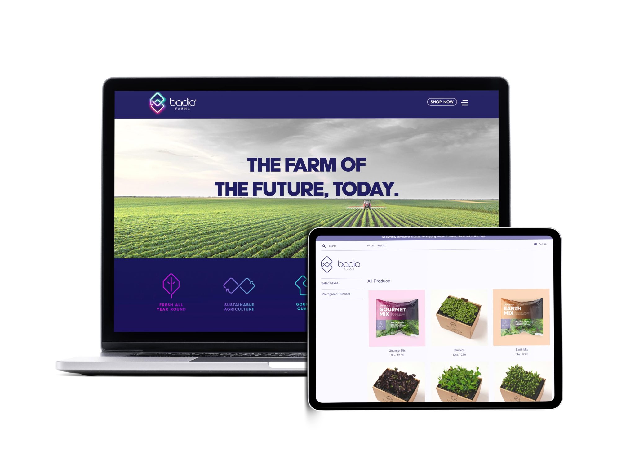 Badia Farm - Image 3