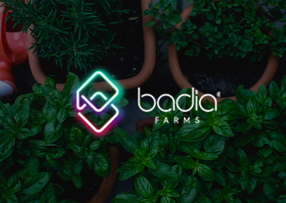 Badia Farm